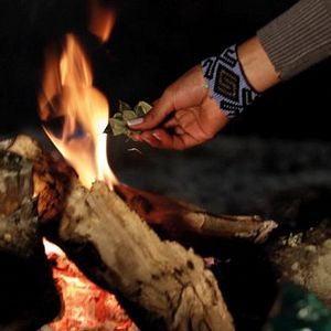 Bilder Mama Coca - Die Krieger des Kokain