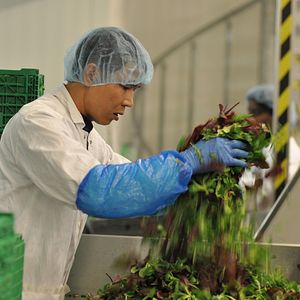 Bilder Eat, Sleep, Die