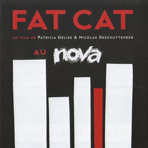 Bilder Fat Cat