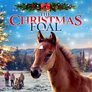 Bilder Der kleine Hengst und die Pferdediebe