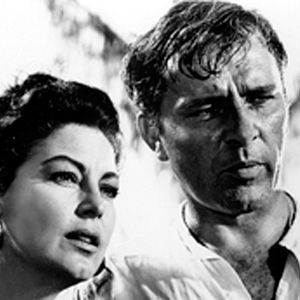 Bilder Die Nacht des Leguan