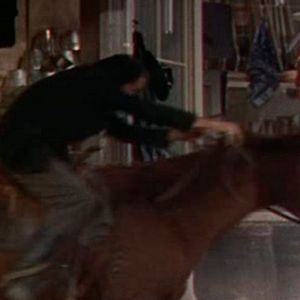 Bilder Rächer der Enterbten