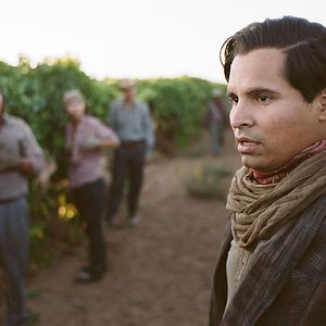 Bilder Michael Peña