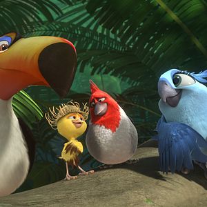 Bilder Rio 2 - Dschungelfieber