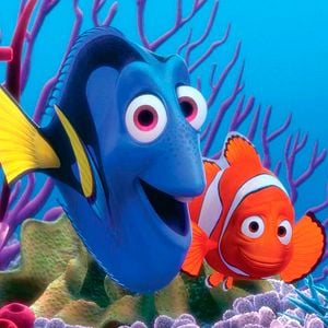 Bilder Findet Nemo