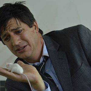Bilder Ken Marino