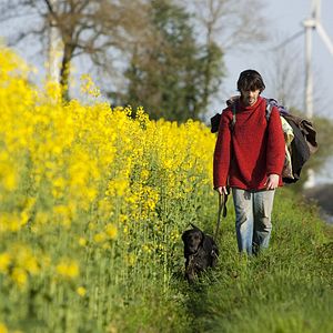 Bilder J'demande pas la lune, juste quelques étoiles