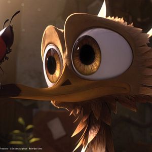 Bilder Sam O'Cool - Ein schräger Vogel hebt ab