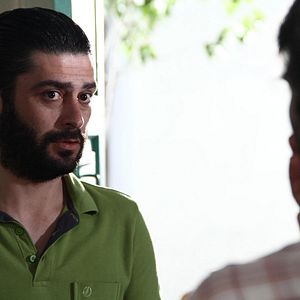 Bilder Sürgün İnek