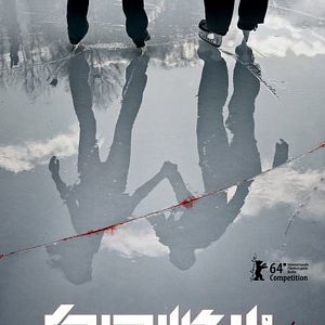 Bilder Feuerwerk am helllichten Tage