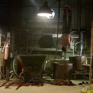 Bilder 100 Bloody Acres