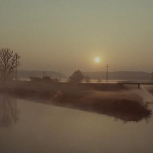 Bilder My Dog Killer