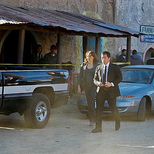 Bilder Emily Swallow