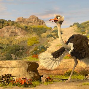 Bilder Khumba - Das Zebra ohne Streifen am Popo