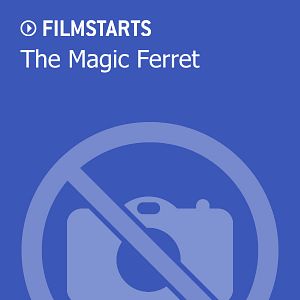 Bilder The Magic Ferret