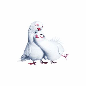 Bilder Das magische Haus