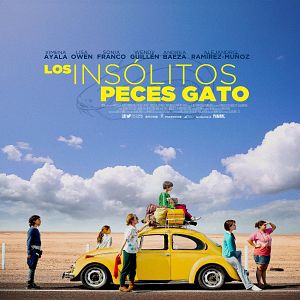 Bilder Der wundersame Katzenfisch