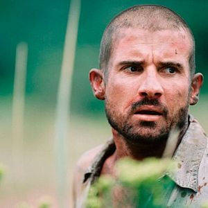 Bilder Die Fährte des Grauens