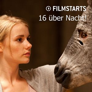 Bilder 16 über Nacht!