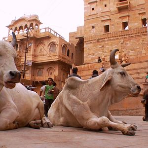 Bilder Fascinating India 3D