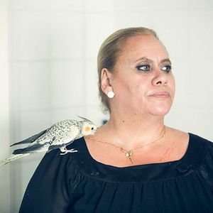 Bilder Carmina y amén