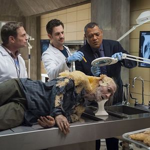 Bilder Scott Thompson