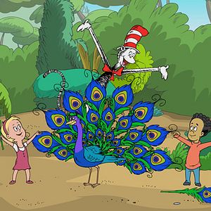 Bilder Der Kater mit Hut