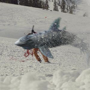 Bilder Snow Sharks