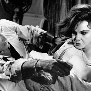 Bilder Süßer Vogel Jugend