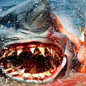 Bilder 2-Headed Shark Attack