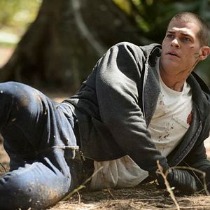 Bilder Greg Finley (II)