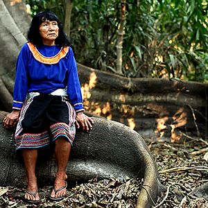 Bilder Sigo siendo (Kachkaniraqmi)