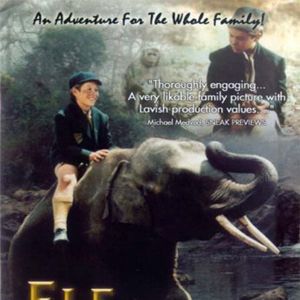 Bilder Mein Freund, der kleine Elefant