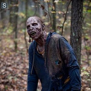 Bilder The Walking Dead