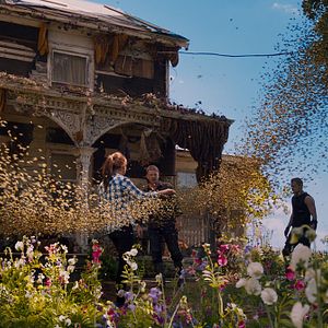 Bilder Jupiter Ascending