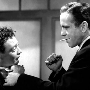 Bilder Die Spur des Falken