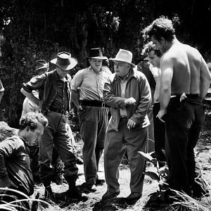 Bilder In den Sümpfen