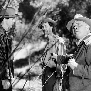 Bilder In den Sümpfen