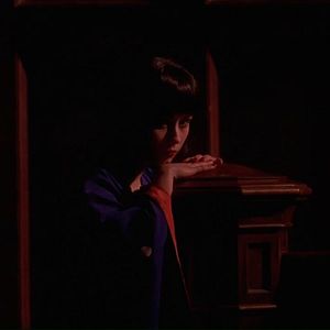 Bilder Wilde Orchidee II