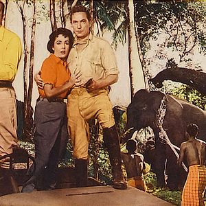 Bilder Elefantenpfad