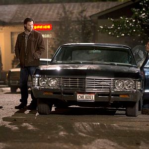 Bilder Misha Collins