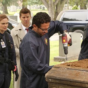 Bilder David Boreanaz