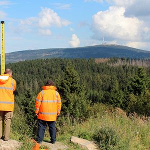 Bilder Vom Ordnen der Dinge