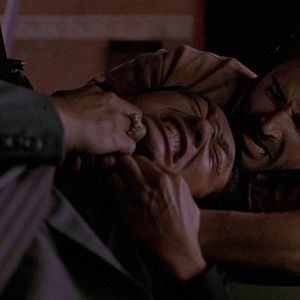 Bilder Eine perfekte Waffe