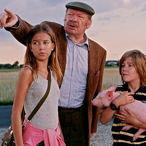 Bilder Rennschwein Rudi Rüssel 2