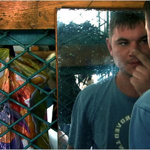 Bilder Le Jour du Mineur