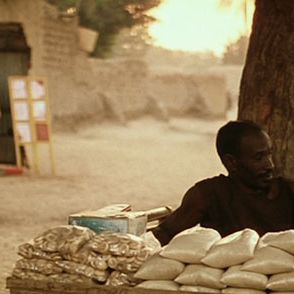 Bilder Das Leben auf Erden