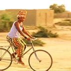 Bilder Das Leben auf Erden