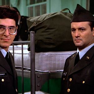 Bilder Ich glaub' mich knutscht ein Elch!