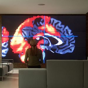 Bilder Die Wirklichkeit kommt